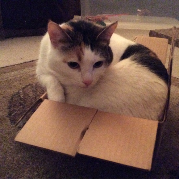 🐈 🐾 Hello! Welcome to come our human closet 🐈🐾 - Picture 5 of 13